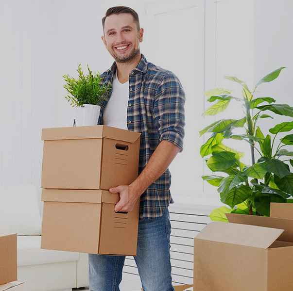Website Design for Movers & Packers | Movers & Packers Website Design