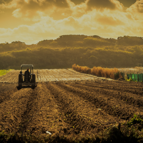Agriculture