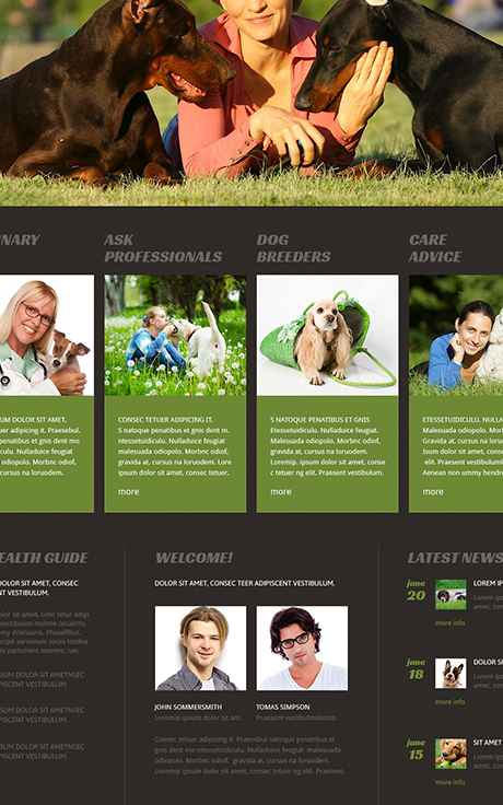 Animal & Pet Website Design Company
