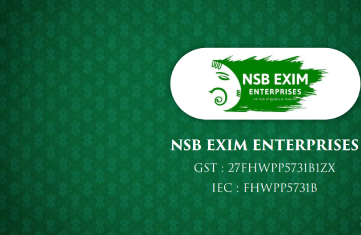 NSB Exim Enterprises